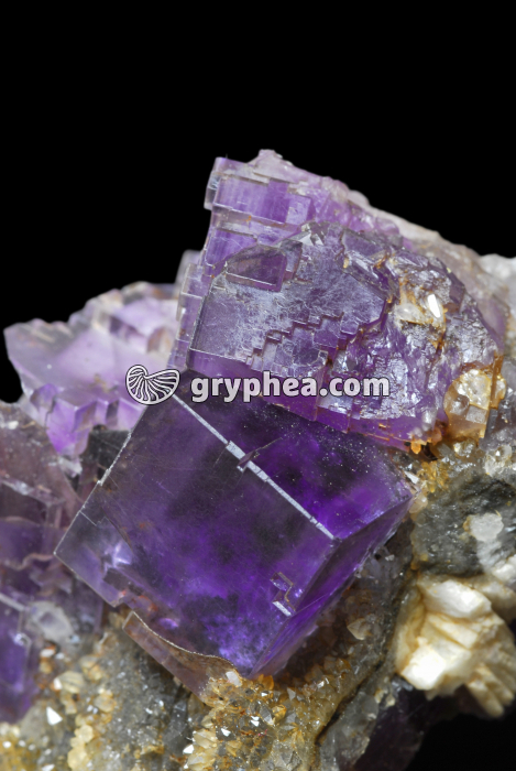 Fluorite de Berbès - gryphea.com
